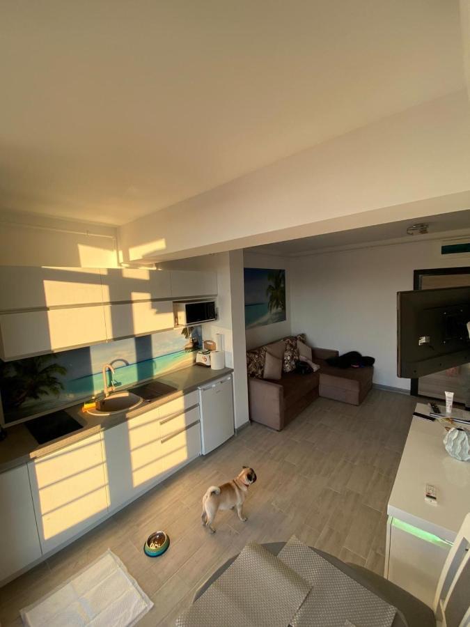 Năvodari Apartament Edu Beach Resort מראה חיצוני תמונה